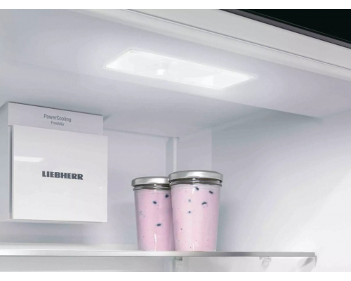 Однокамерний холодильник Liebherr SRbdd 5220 Plus